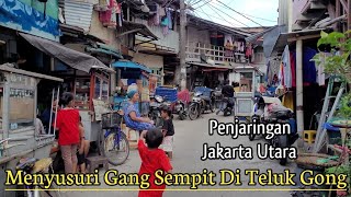 Walk Around the Narrow Alley in Teluk Gong  Penjaringan North Jakarta Indonesia [upl. by Troc]