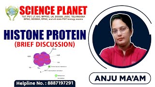 Histone Protein Brief Discussion Explain by Anju Mam of Science Planet [upl. by Goulette]