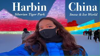 HARBIN CHINA VLOG2 SNOW amp ICE WORLD  SIBERIAN TIGER PARK amp MORE [upl. by Aneehsat342]