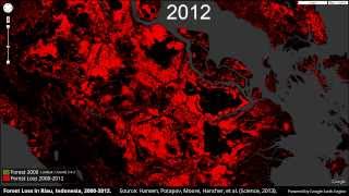 Forest Loss in Riau Indonesia 20002012 [upl. by Judd836]