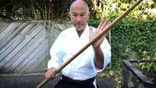 Basic principles of bokken practice [upl. by Jb896]