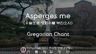 서울대교구 주교좌 명동대성당 가톨릭합창단 Asperges meGregorian Chant [upl. by Infield]