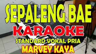 PALENG BAE MARVEY KAYA KARAOKE VOKAL COWO [upl. by Heyde823]