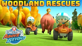 Octonauts Above amp Beyond  🌲 Woodland Rescues ⛑️  Compilation  KidzukoSony​ [upl. by Naryb]