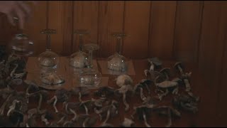 Magic Mushrooms in Mexico  Hamiltons Pharmacopeia S01E04 [upl. by Novi30]