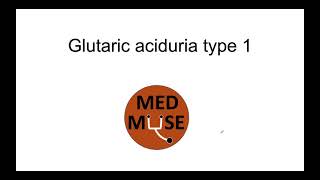 Glutaric Aciduria Type 1 [upl. by Vena]