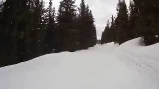 Schladming Planai Piste 8 Weitmoosabfahrt [upl. by Englis]