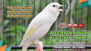 Kenari GACOR‼️ Masteran Burung Kenari PAUD dan Pancingan Kenari MACET BUNYI  EPISODE 1491 [upl. by Bausch]