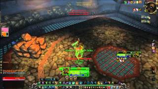 Wow Arena 2v2 Restoration Druid and Retribution Paladin 52 [upl. by Brigham]