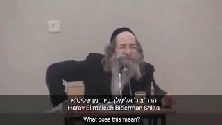 Rabbi Elimelech Biderman  Emunah for Parnassah [upl. by Helge50]