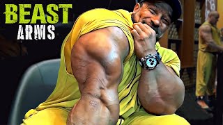 BEAST ARMS  LETS BUILD TRICEPS AND BICEPS  ROELLY WINKLAAR MOTIVATION [upl. by Alarick450]