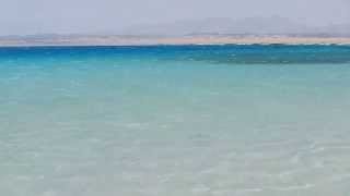 Sharm el Luli [upl. by Thor]