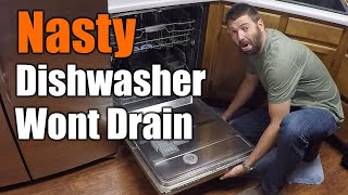 Easy Fix For Dishwasher That Wont Drain  THE HANDYMAN [upl. by Anawal]