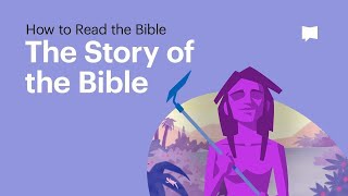 The Story of the Bible • What Its About From Beginning to End [upl. by Groos]