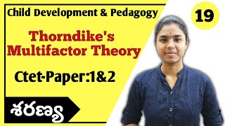 Thorndikes Multifactor Theory of Intelligence explained in telugu  Ctet Paper 1amp2  Ctet Telugu [upl. by Perot]