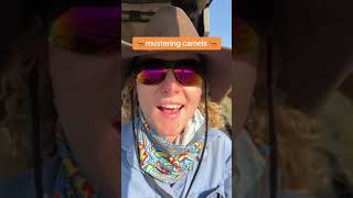 Mustering Camels in outback Queensland australia agriculture aussie cowgirl brownhatt [upl. by Bryant191]