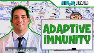 Immunology  Adaptive Immunity [upl. by Mavra]