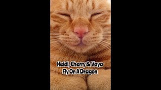 Fun Bedtime Story For Kids  Heidi Cherry amp Vaya Fly On A Dragon [upl. by Baer345]