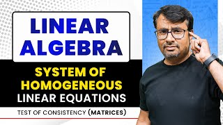 System Of Linear Equations  Homogeneous Equation  Matrices [upl. by Darnoc]