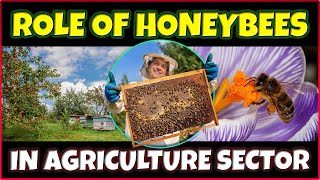 Importance of Honey Bees in Agriculture  Role of Honey bee in Agriculture [upl. by Onilegna164]