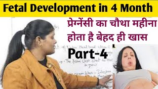 Fetal Development Part4 in hindi by Ranjana rock  चार महीने की गर्भावस्था में बच्चे का विकास [upl. by Picker]