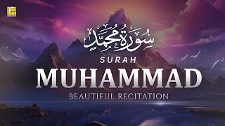 Stunning recitation of Surah Muhammad سورة محمد  SOFT VOICE  Zikrullah TV [upl. by Mehsah]