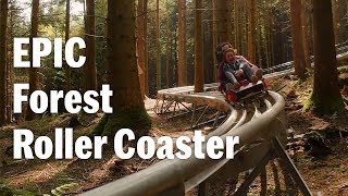 Zip World Forest Coaster is EPIC [upl. by Reichert]