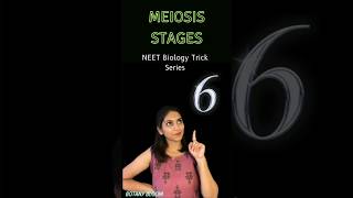 Meiosis stages📝  Cell cycle and cell Division shorts neet ytshorts [upl. by Auahsoj]