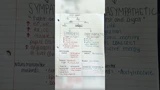 Autonomic nervous system physiology and nervous system [upl. by Anikehs508]