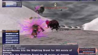 FFXI NM Saga 198 Blighting Brand vs BST Full Battle [upl. by Jannel574]