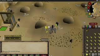 Osrs maniacal monkeys with Classic 07 Tunes [upl. by Strawn480]