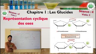 Séance 4  Vidéo 3  Cyclisation des Cétoses  formation de Pyranoses et de Furanoses [upl. by Abita987]