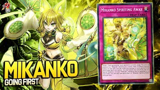 Deck Mikanko EDOPRO Replays 🎮  Decklist ✔️ [upl. by Eisserc836]