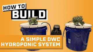 How to Build a Hydroponic System Under 30  Deep Water Culture Hydroponics [upl. by Irolam]