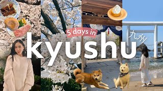 KYUSHU JAPAN Fukuoka Oita amp Kumamoto 🇯🇵 5Day Travel Vlog  🌸 Cherry Blossoms  Places to Visit [upl. by Scott]