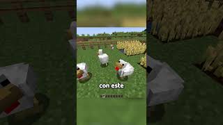 pollo frito en realidad es un buen pollo shorts minecraft [upl. by Onailimixam]