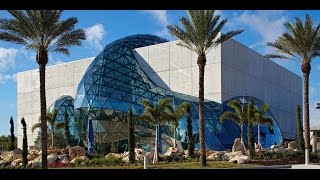 The Dali Museum An Unparalleled Experience [upl. by Ahsasal618]