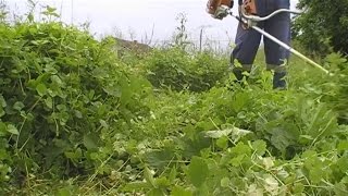 Using my Stihl FS 85 brushcutter in high grass with the brush knifeblade on pt 1 [upl. by Nilson]