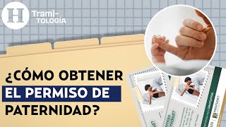 ¿Cómo tramitar el permiso de paternidad Sigue estos pasos  Tramitología [upl. by Bakki36]