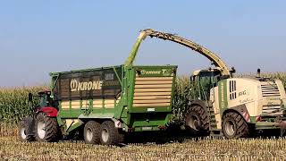 Krone BiG X700 mit 7 Gespanne im Mais [upl. by Ara]