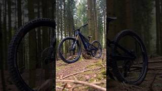 Specialiced Stumpjumper EVO Alloy 2024 Custombike  Mountainbike  Trailbike stumpjumperevo [upl. by Niessuh]