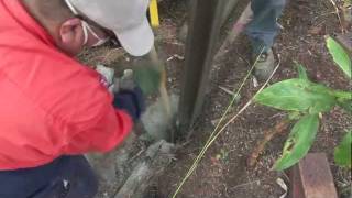 Using Cement Australia Rapid Set Concrete to set a post [upl. by Alamac]