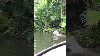 Is the Jungle Cruise Plus Size Friendly at Magic Kingdom [upl. by Cyprus]