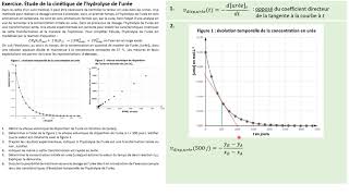 TERMspé Exercice  cinétique de lhydrolyse de lurée [upl. by Acisset]