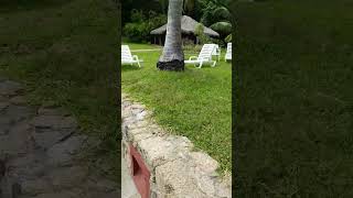 Acompáñame a mis vacaciones en Huatulco Oaxaca parte 23 [upl. by Ocer]