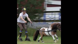 roller skates behind pony [upl. by Gora]