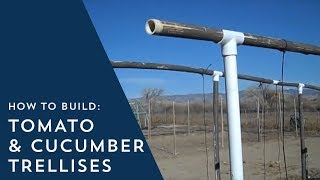 How to Build Tomato and Cucumber Trellises [upl. by Ahtelra287]