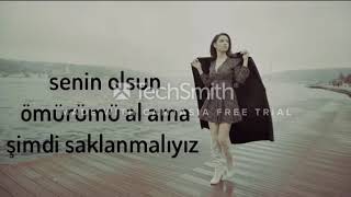 Feride Hilal Akın  Gizli Aşk lyrics [upl. by Wiese944]