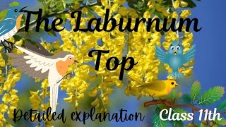 The Laburnum Top best ✨ explanation by Mahi  The Laburnum Top  Learn with Mahi [upl. by Kamerman]