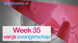 35 weken zwanger  ikenmamanl [upl. by Rickie121]